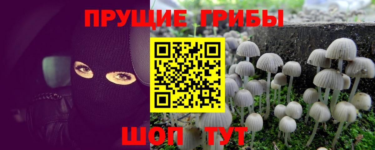 Псилоцибиновые грибы ЛСД Салехард