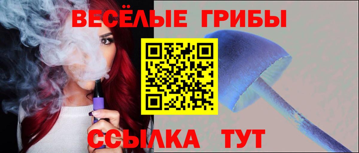 Салехард  Псилоцибиновые грибы мицелий  Вход с VPN 